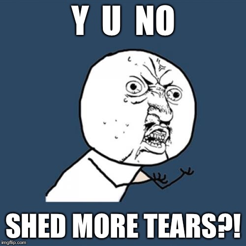 Y U No Meme | Y  U  NO SHED MORE TEARS?! | image tagged in memes,y u no | made w/ Imgflip meme maker