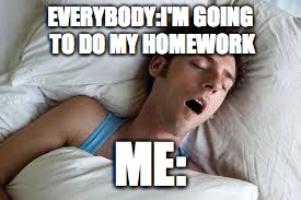 sleep | EVERYBODY:I'M GOING TO DO MY HOMEWORK; ME: | image tagged in sleep | made w/ Imgflip meme maker