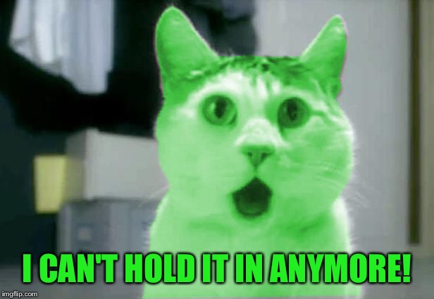 OMG RayCat | I CAN'T HOLD IT IN ANYMORE! | image tagged in omg raycat | made w/ Imgflip meme maker