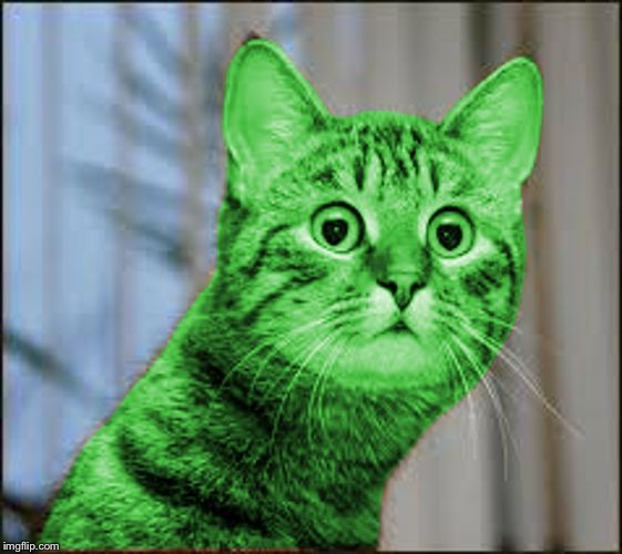RayCat WTF | I HAVE A LONG NECK TOO! | image tagged in raycat wtf | made w/ Imgflip meme maker