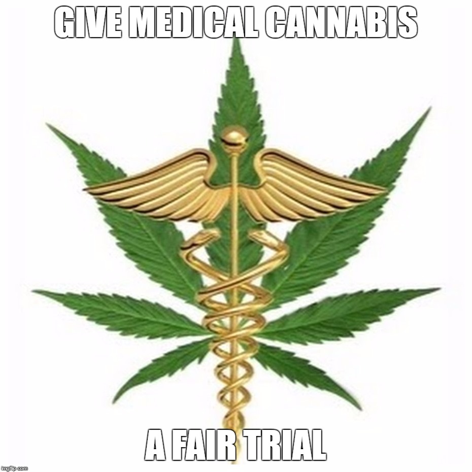 GIVE MEDICAL CANNABIS; A FAIR TRIAL | image tagged in cannabis caduceus | made w/ Imgflip meme maker