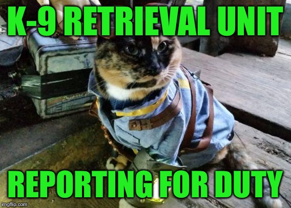 Fallout RayCat | K-9 RETRIEVAL UNIT REPORTING FOR DUTY | image tagged in fallout raycat | made w/ Imgflip meme maker