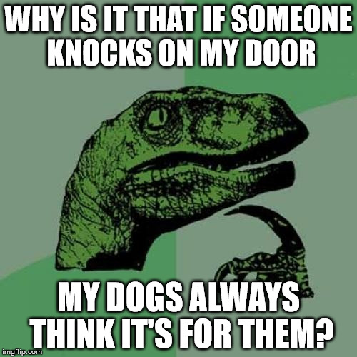 Philosoraptor Meme | WHY IS IT THAT IF SOMEONE KNOCKS ON MY DOOR; MY DOGS ALWAYS THINK IT'S FOR THEM? | image tagged in memes,philosoraptor | made w/ Imgflip meme maker