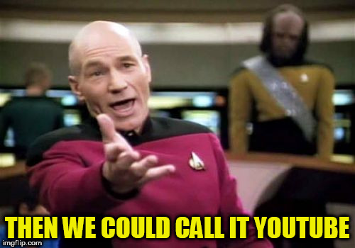 Picard Wtf Meme | THEN WE COULD CALL IT YOUTUBE | image tagged in memes,picard wtf | made w/ Imgflip meme maker