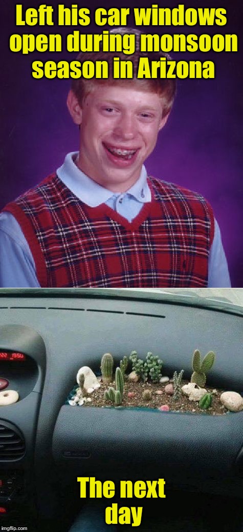 Brian gets a souvenir  | Left his car windows open during monsoon season in Arizona; The next day | image tagged in bad luck brian,arizona | made w/ Imgflip meme maker