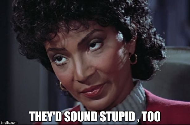 Uhura not amused | THEY'D SOUND STUPID , TOO | image tagged in uhura not amused | made w/ Imgflip meme maker