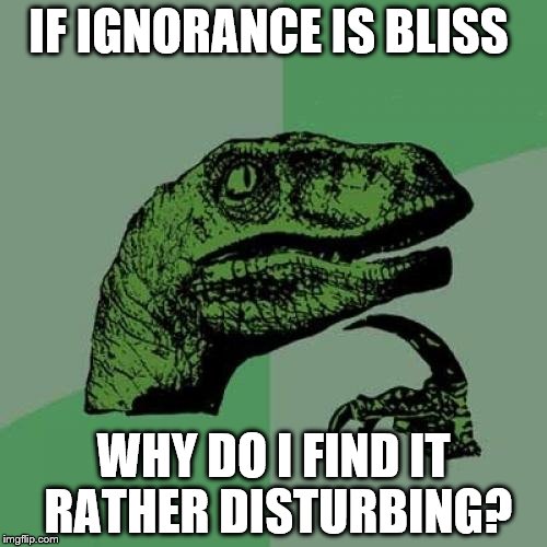 Philosoraptor Meme | IF IGNORANCE IS BLISS; WHY DO I FIND IT RATHER DISTURBING? | image tagged in memes,philosoraptor | made w/ Imgflip meme maker