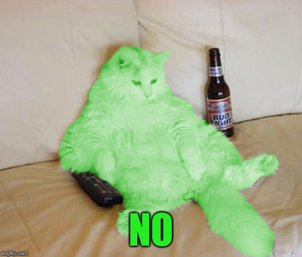 RayCat Chillin' | NO | image tagged in raycat chillin' | made w/ Imgflip meme maker