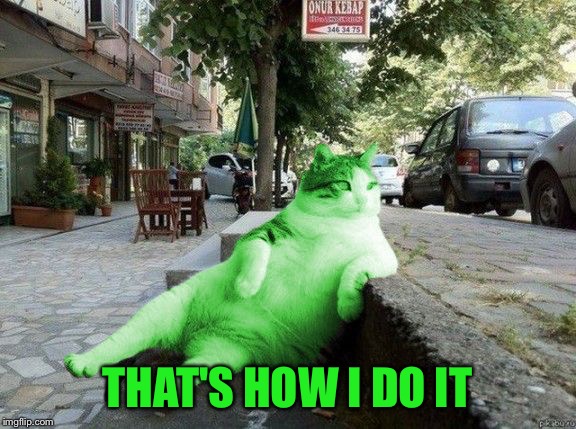 RayCat relaxing | THAT'S HOW I DO IT | image tagged in raycat relaxing | made w/ Imgflip meme maker