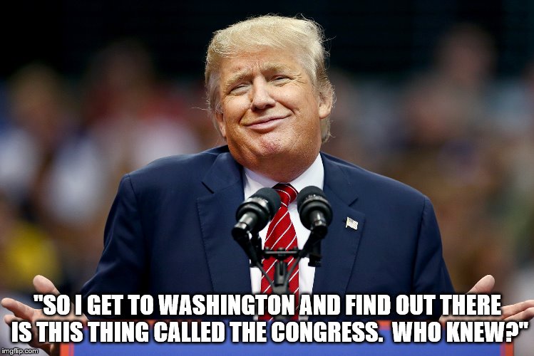 No one told me about the Congress. | "SO I GET TO WASHINGTON AND FIND OUT THERE IS THIS THING CALLED THE CONGRESS.  WHO KNEW?" | image tagged in donald trump,trump | made w/ Imgflip meme maker