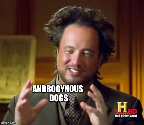 Ancient Aliens Meme | ANDROGYNOUS DOGS | image tagged in memes,ancient aliens | made w/ Imgflip meme maker