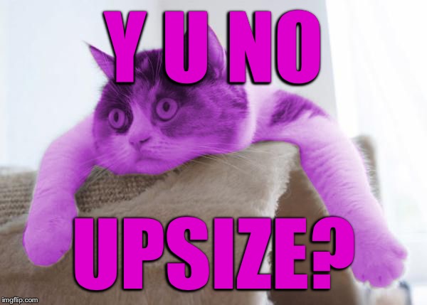 RayCat Stare | Y U NO UPSIZE? | image tagged in raycat stare | made w/ Imgflip meme maker