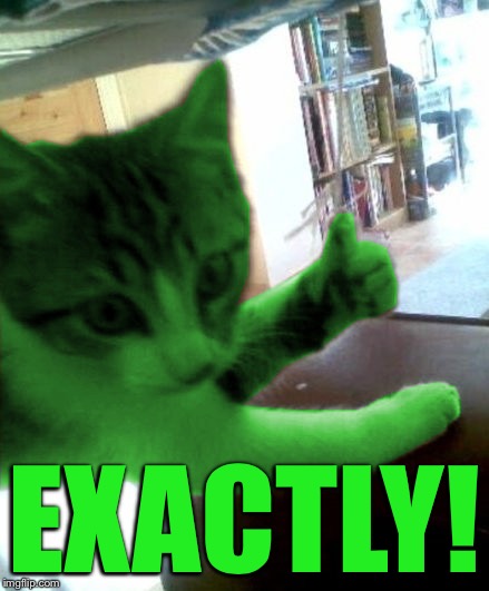 thumbs up RayCat | EXACTLY! | image tagged in thumbs up raycat | made w/ Imgflip meme maker