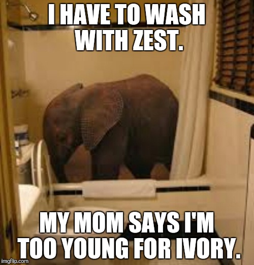 Baby elephant in tub | I HAVE TO WASH WITH ZEST. MY MOM SAYS I'M TOO YOUNG FOR IVORY. | image tagged in elephant,bathroom | made w/ Imgflip meme maker