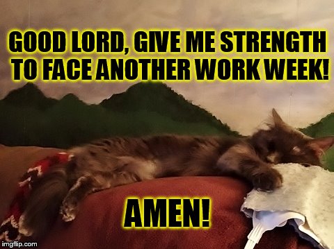Monday Blues | GOOD LORD, GIVE ME STRENGTH TO FACE ANOTHER WORK WEEK! AMEN! | image tagged in cat,cute cat,work,strength,blues | made w/ Imgflip meme maker