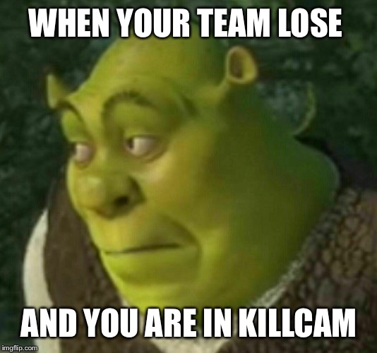WHEN YOUR TEAM LOSE; AND YOU ARE IN KILLCAM | image tagged in shrek while fapping | made w/ Imgflip meme maker