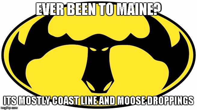 Mooseman | EVER BEEN TO MAINE? ITS MOSTLY COAST LINE AND MOOSE DROPPINGS | image tagged in mooseman | made w/ Imgflip meme maker