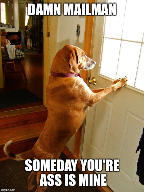 DAMN MAILMAN SOMEDAY YOU'RE ASS IS MINE | made w/ Imgflip meme maker