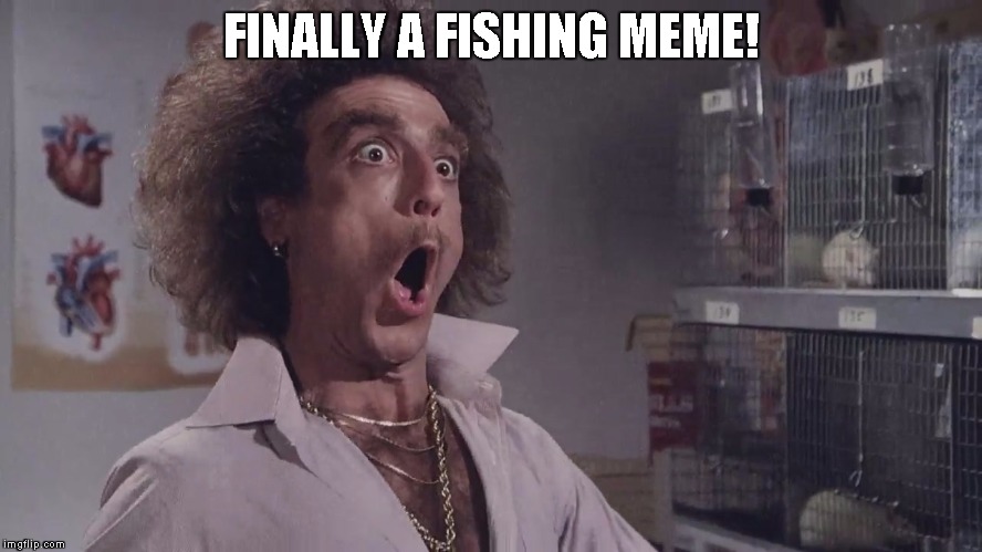 Jeckle and Hyde | FINALLY A FISHING MEME! | image tagged in jeckle and hyde | made w/ Imgflip meme maker