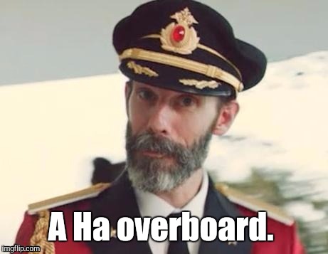 1i5xk1.jpg | A Ha overboard. | image tagged in 1i5xk1jpg | made w/ Imgflip meme maker