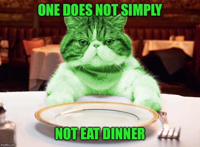 RayCat Hungry | ONE DOES NOT SIMPLY NOT EAT DINNER | image tagged in raycat hungry | made w/ Imgflip meme maker
