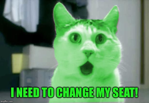 OMG RayCat | I NEED TO CHANGE MY SEAT! | image tagged in omg raycat | made w/ Imgflip meme maker