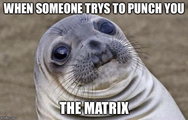 Awkward Moment Sealion Meme | WHEN SOMEONE TRYS TO PUNCH YOU; THE MATRIX | image tagged in memes,awkward moment sealion | made w/ Imgflip meme maker