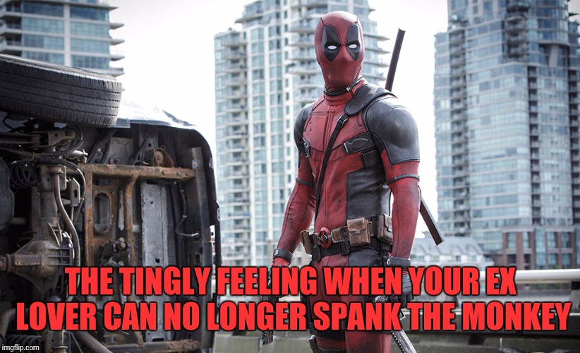 THE TINGLY FEELING WHEN YOUR EX LOVER CAN NO LONGER SPANK THE MONKEY | made w/ Imgflip meme maker