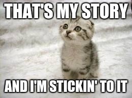 Sad Cat Meme | THAT'S MY STORY; AND I'M STICKIN' TO IT | image tagged in memes,sad cat | made w/ Imgflip meme maker