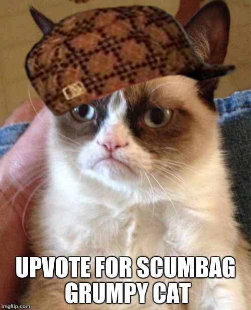 Who feels bad for this guy's owner? | UPVOTE FOR SCUMBAG GRUMPY CAT | image tagged in memes,grumpy cat,scumbag | made w/ Imgflip meme maker