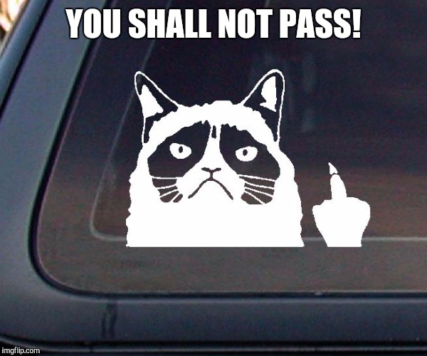 Sticking it to the family with stick family stickers. PT 3 | YOU SHALL NOT PASS! | image tagged in stick family stickers,memes,grumpy cat | made w/ Imgflip meme maker