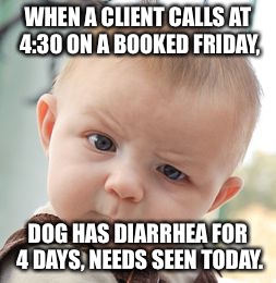 Skeptical Baby Meme | WHEN A CLIENT CALLS AT 4:30 ON A BOOKED FRIDAY, DOG HAS DIARRHEA FOR 4 DAYS, NEEDS SEEN TODAY. | image tagged in memes,skeptical baby | made w/ Imgflip meme maker