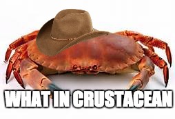 WHAT IN CRUSTACEAN | made w/ Imgflip meme maker