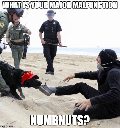WHAT IS YOUR MAJOR MALFUNCTION; NUMBNUTS? | image tagged in antifa,full metal jacket,pussy,maga | made w/ Imgflip meme maker