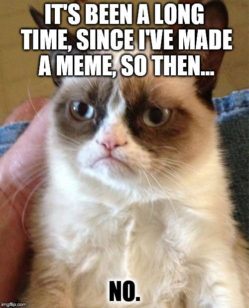 Grumpy Cat | IT'S BEEN A LONG TIME, SINCE I'VE MADE A MEME, SO THEN... NO. | image tagged in memes,grumpy cat | made w/ Imgflip meme maker