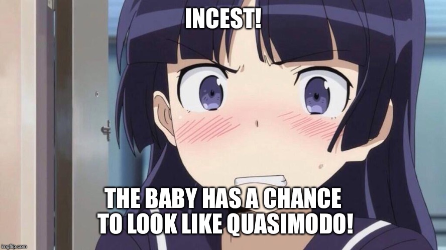 INCEST! THE BABY HAS A CHANCE TO LOOK LIKE QUASIMODO! | image tagged in embarrassed anime girl | made w/ Imgflip meme maker