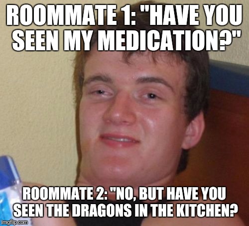 Roommates Can Be Wonderful  | ROOMMATE 1: "HAVE YOU SEEN MY MEDICATION?"; ROOMMATE 2: "NO, BUT HAVE YOU SEEN THE DRAGONS IN THE KITCHEN? | image tagged in memes,10 guy,funny,roommates | made w/ Imgflip meme maker