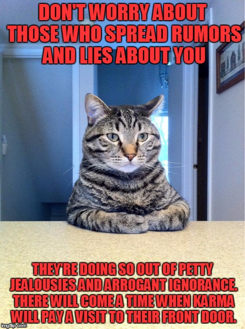 Serious Cat | DON'T WORRY ABOUT THOSE WHO SPREAD RUMORS AND LIES ABOUT YOU; THEY'RE DOING SO OUT OF PETTY JEALOUSIES AND ARROGANT IGNORANCE. THERE WILL COME A TIME WHEN KARMA WILL PAY A VISIT TO THEIR FRONT DOOR. | image tagged in serious cat | made w/ Imgflip meme maker