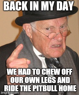 Back In My Day Meme | BACK IN MY DAY WE HAD TO CHEW OFF OUR OWN LEGS AND RIDE THE PITBULL HOME | image tagged in memes,back in my day | made w/ Imgflip meme maker