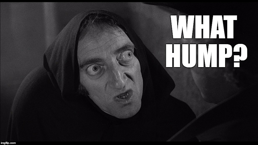 Well Then is it "Froedrick"? |  WHAT HUMP? | image tagged in young frankenstein,marty feldman,igor | made w/ Imgflip meme maker