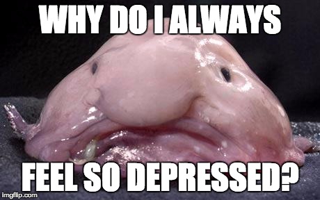 Blobfish | WHY DO I ALWAYS; FEEL SO DEPRESSED? | image tagged in blobfish | made w/ Imgflip meme maker