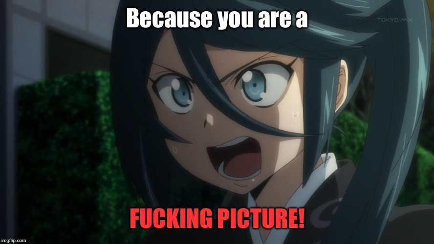 Shouting Anime Girl | Because you are a F**KING PICTURE! | image tagged in shouting anime girl | made w/ Imgflip meme maker