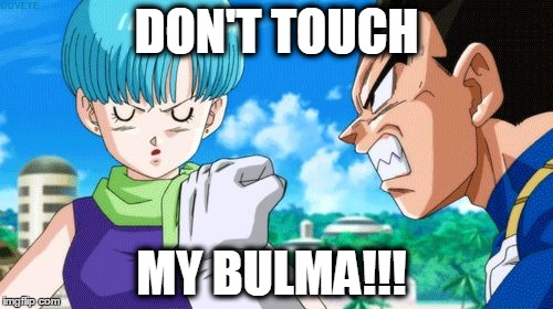 Bulma Vegeta | DON'T TOUCH; MY BULMA!!! | image tagged in bulma vegeta | made w/ Imgflip meme maker