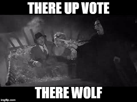 There wolf | THERE UP VOTE THERE WOLF | image tagged in there wolf | made w/ Imgflip meme maker