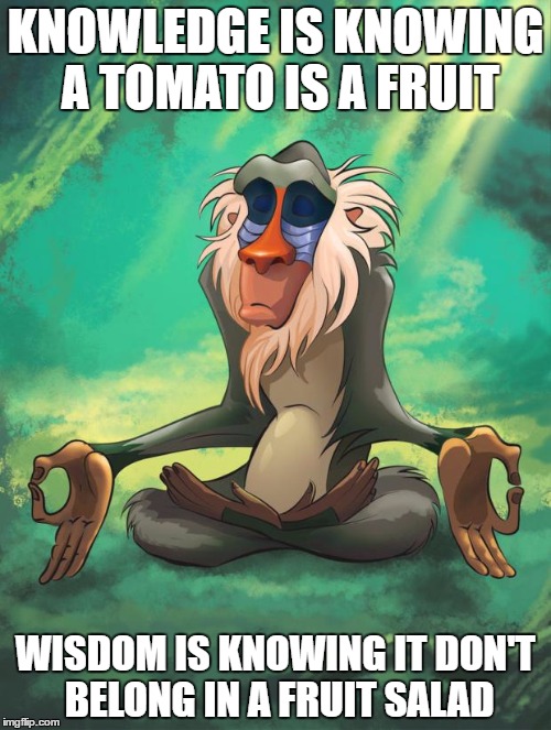 having knowledge and having wisdom can very well mean two different things | KNOWLEDGE IS KNOWING A TOMATO IS A FRUIT; WISDOM IS KNOWING IT DON'T BELONG IN A FRUIT SALAD | image tagged in rafiki wisdom,memes,wisdom,knowledge | made w/ Imgflip meme maker