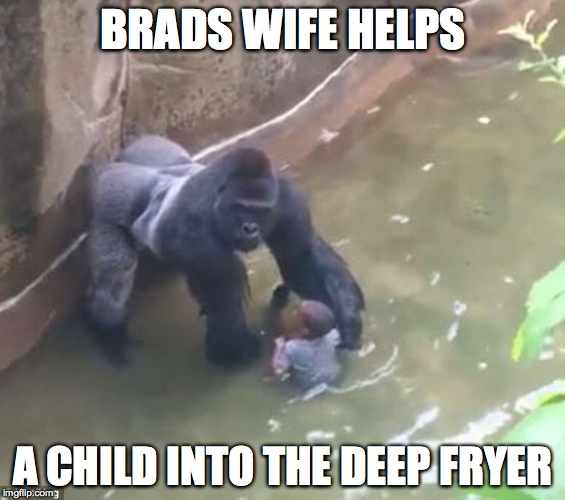 Harambe | BRADS WIFE HELPS; A CHILD INTO THE DEEP FRYER | image tagged in harambe | made w/ Imgflip meme maker