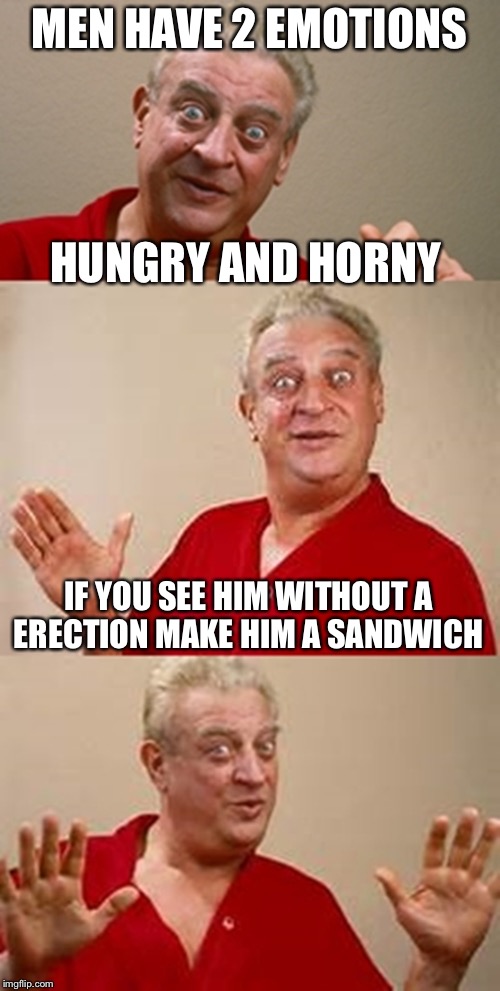 bad pun Dangerfield  | MEN HAVE 2 EMOTIONS; HUNGRY AND HORNY; IF YOU SEE HIM WITHOUT A ERECTION MAKE HIM A SANDWICH | image tagged in bad pun dangerfield | made w/ Imgflip meme maker