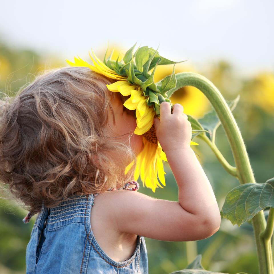 SunflowerGirl Blank Meme Template