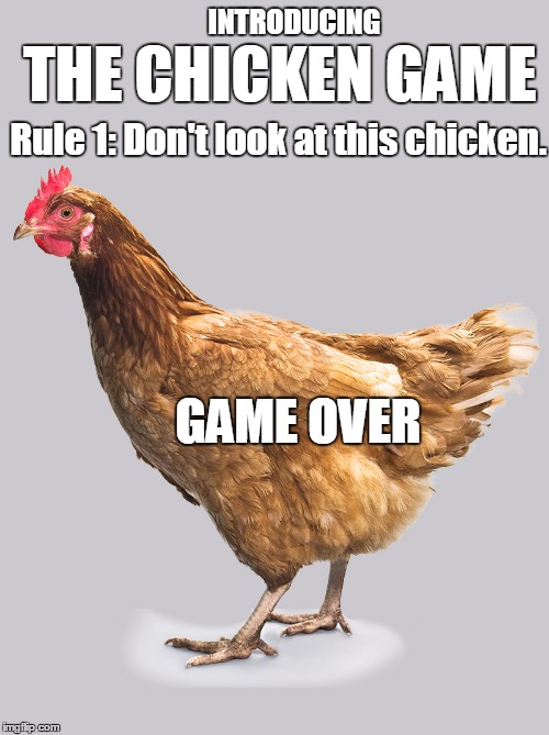 YOU LOSE | INTRODUCING; THE CHICKEN GAME; Rule 1: Don't look at this chicken. GAME OVER | image tagged in chicken,game,memes | made w/ Imgflip meme maker