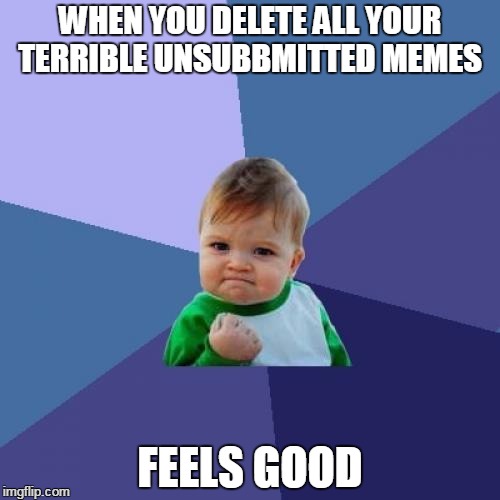 Success Kid | WHEN YOU DELETE ALL YOUR TERRIBLE UNSUBBMITTED MEMES; FEELS GOOD | image tagged in memes,success kid | made w/ Imgflip meme maker